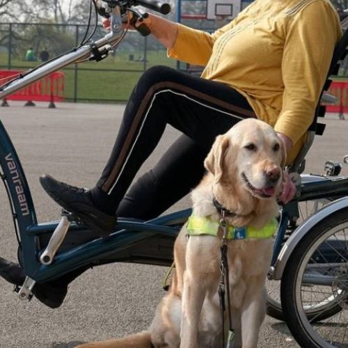 A human figure sits astride a recumbent bike, while petting a friendly dog sitting on the ground beside them.