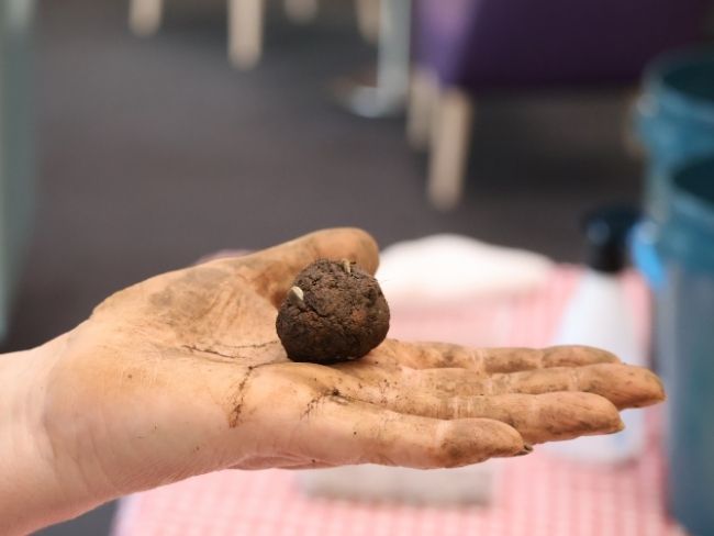 A soil-covered hand holds a brown seedbomb, with the library's children's area in soft focus in the background.