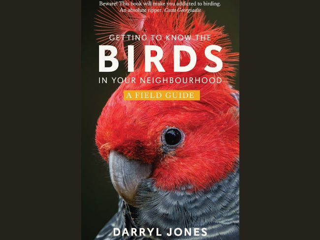 The cover of Darryl's book shows in close-up the magnificent red plumage and crest, along with the typically curved parrot's beak, of a Gang-gang cockatoo.