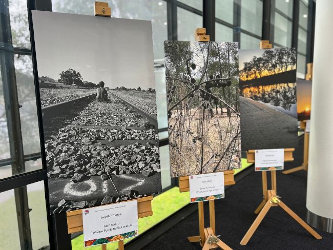 A series of photographs on easels, among the library's Level One shelves.